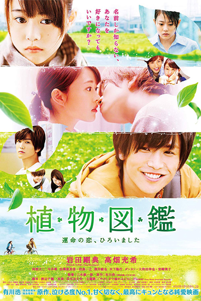 Evergreen Love 