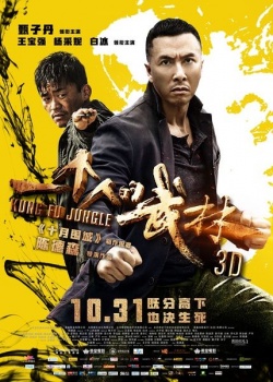 Kung Fu Jungle 